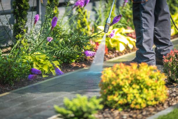 Best Sidewalk and Walkway Cleaning  in La Joya, TX