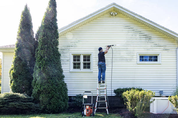 Best Post-Construction Pressure Washing  in La Joya, TX